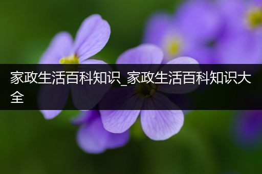 家政生活百科知识_家政生活百科知识大全