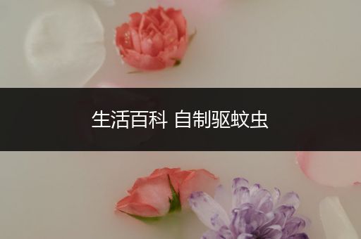 生活百科 自制驱蚊虫