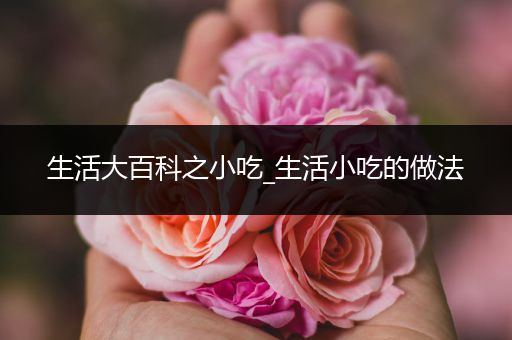 生活大百科之小吃_生活小吃的做法