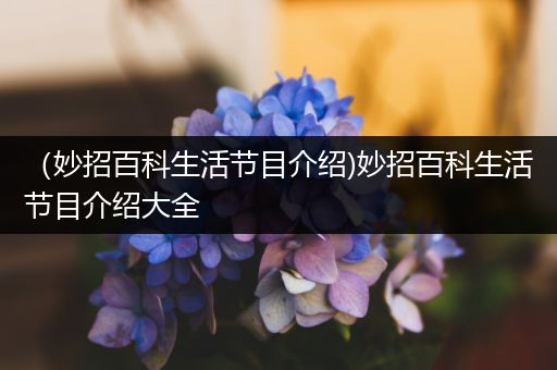 （妙招百科生活节目介绍)妙招百科生活节目介绍大全