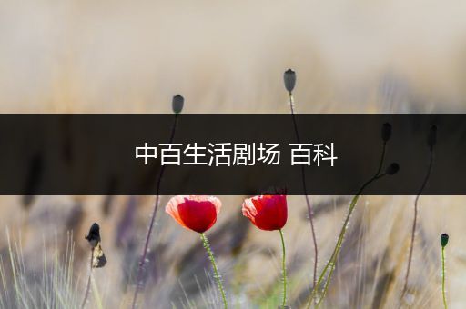 中百生活剧场 百科