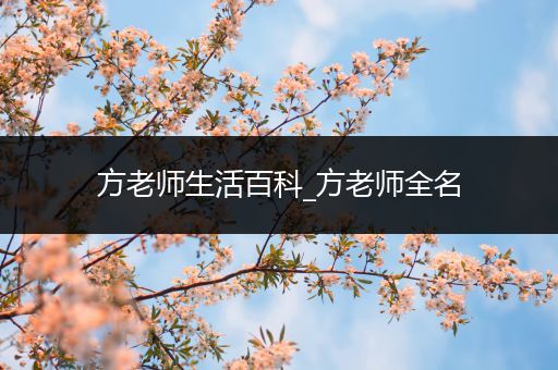 方老师生活百科_方老师全名