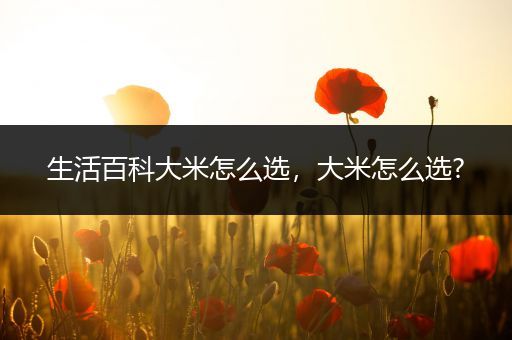 生活百科大米怎么选，大米怎么选?