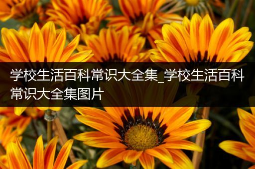 学校生活百科常识大全集_学校生活百科常识大全集图片