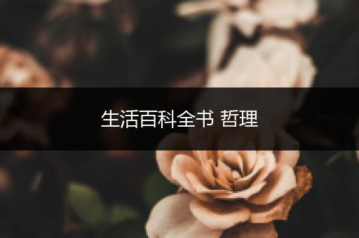 生活百科全书 哲理