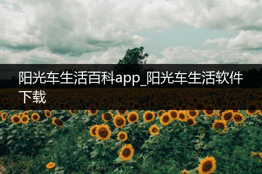 阳光车生活百科app_阳光车生活软件下载