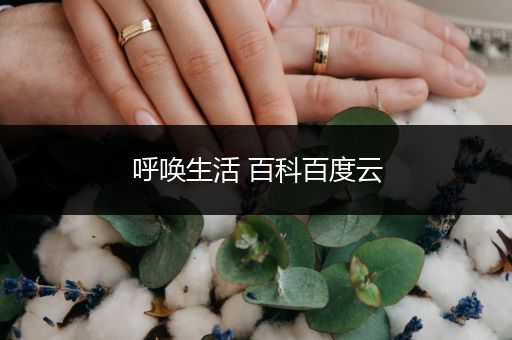 呼唤生活 百科百度云