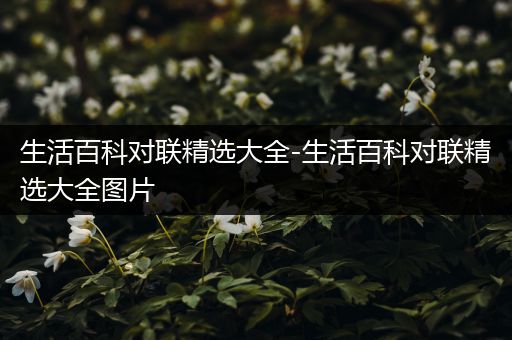 生活百科对联精选大全-生活百科对联精选大全图片