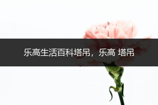 乐高生活百科塔吊，乐高 塔吊