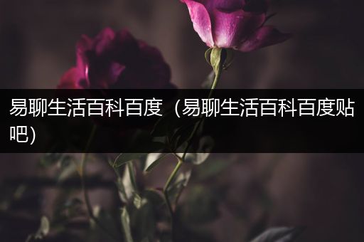 易聊生活百科百度（易聊生活百科百度贴吧）