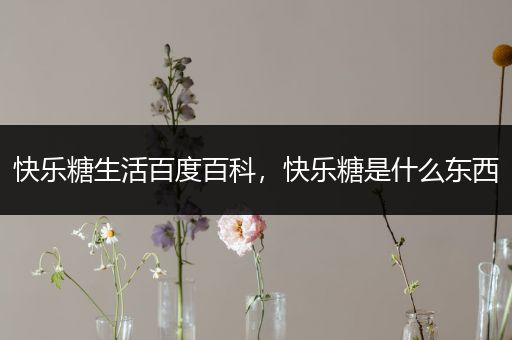 快乐糖生活百度百科，快乐糖是什么东西