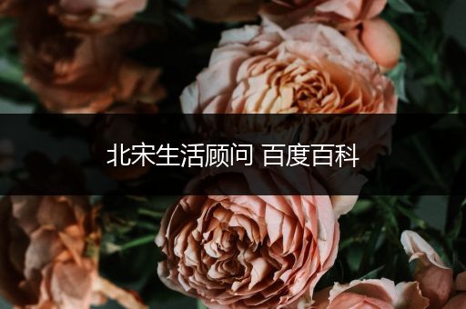 北宋生活顾问 百度百科