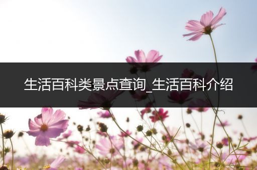 生活百科类景点查询_生活百科介绍