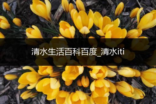 清水生活百科百度_清水iti