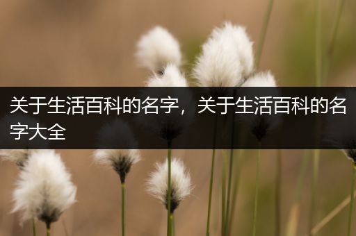 关于生活百科的名字，关于生活百科的名字大全