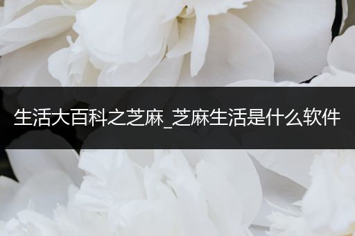 生活大百科之芝麻_芝麻生活是什么软件