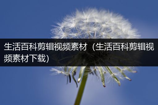 生活百科剪辑视频素材（生活百科剪辑视频素材下载）