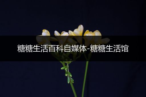 糖糖生活百科自媒体-糖糖生活馆