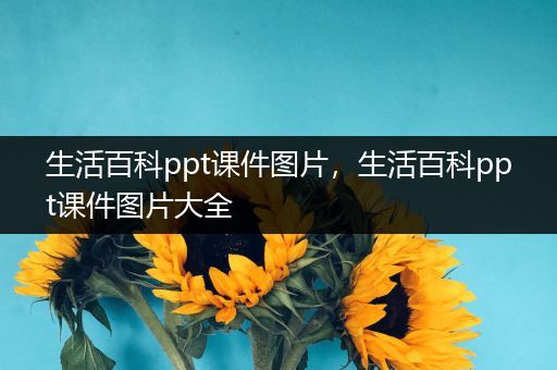 生活百科ppt课件图片，生活百科ppt课件图片大全