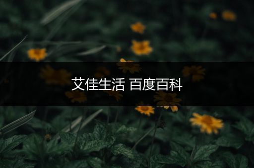 艾佳生活 百度百科