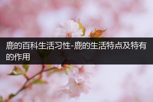 鹿的百科生活习性-鹿的生活特点及特有的作用