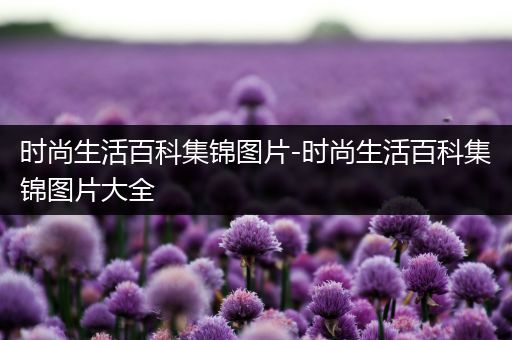 时尚生活百科集锦图片-时尚生活百科集锦图片大全