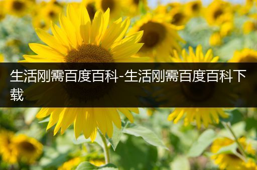 生活刚需百度百科-生活刚需百度百科下载