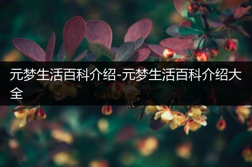 元梦生活百科介绍-元梦生活百科介绍大全