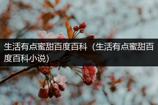 生活有点蜜甜百度百科（生活有点蜜甜百度百科小说）