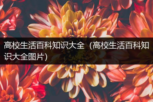 高校生活百科知识大全（高校生活百科知识大全图片）