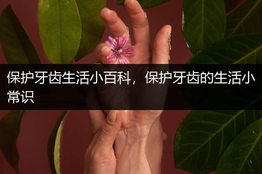 保护牙齿生活小百科，保护牙齿的生活小常识