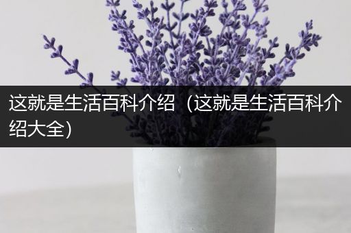 这就是生活百科介绍（这就是生活百科介绍大全）