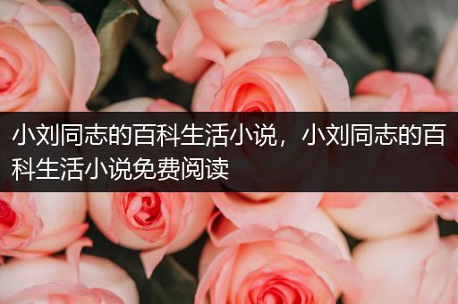 小刘同志的百科生活小说，小刘同志的百科生活小说免费阅读