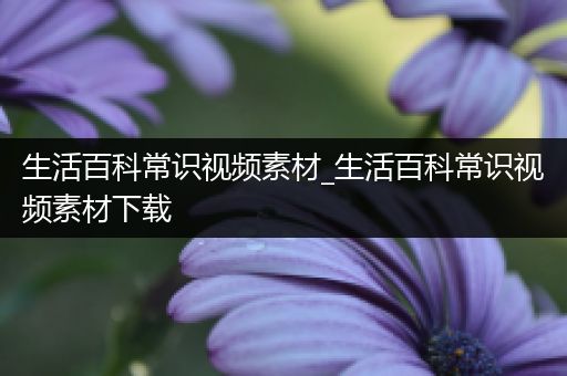 生活百科常识视频素材_生活百科常识视频素材下载