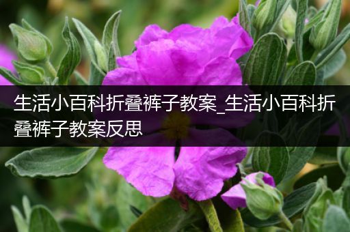 生活小百科折叠裤子教案_生活小百科折叠裤子教案反思