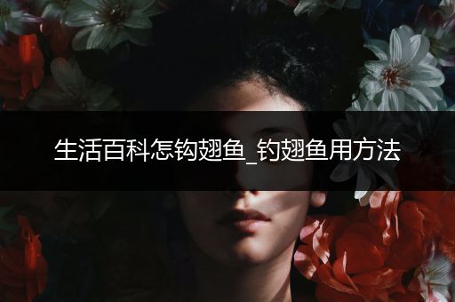 生活百科怎钩翅鱼_钓翅鱼用方法