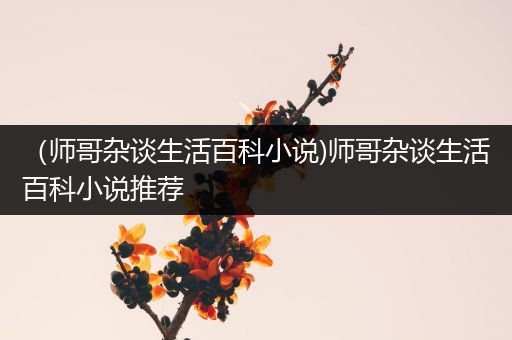 （师哥杂谈生活百科小说)师哥杂谈生活百科小说推荐