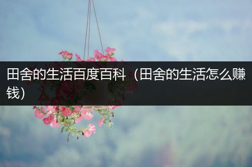 田舍的生活百度百科（田舍的生活怎么赚钱）