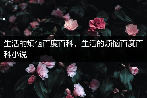 生活的烦恼百度百科，生活的烦恼百度百科小说