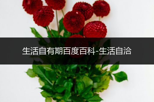 生活自有期百度百科-生活自洽