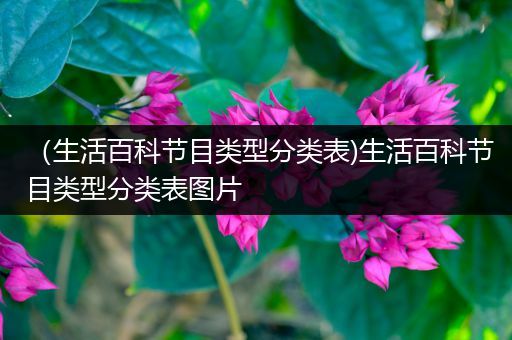 （生活百科节目类型分类表)生活百科节目类型分类表图片