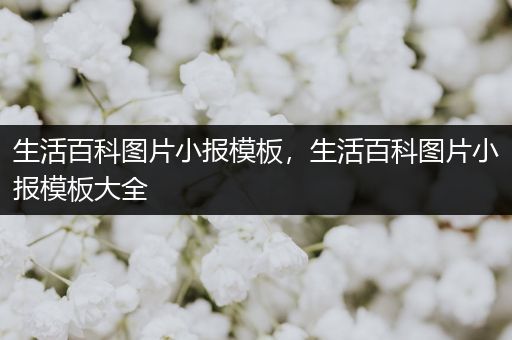 生活百科图片小报模板，生活百科图片小报模板大全