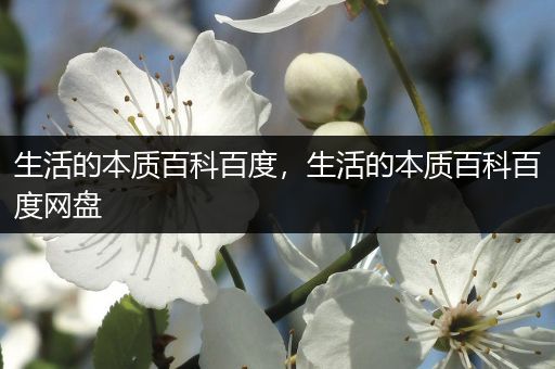 生活的本质百科百度，生活的本质百科百度网盘