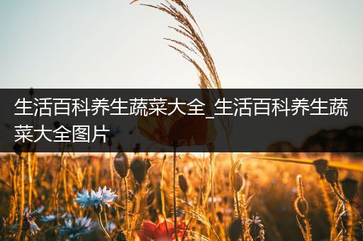 生活百科养生蔬菜大全_生活百科养生蔬菜大全图片