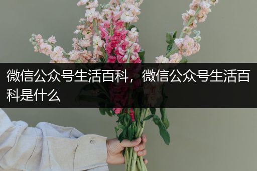 微信公众号生活百科，微信公众号生活百科是什么