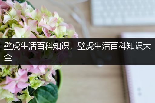 壁虎生活百科知识，壁虎生活百科知识大全