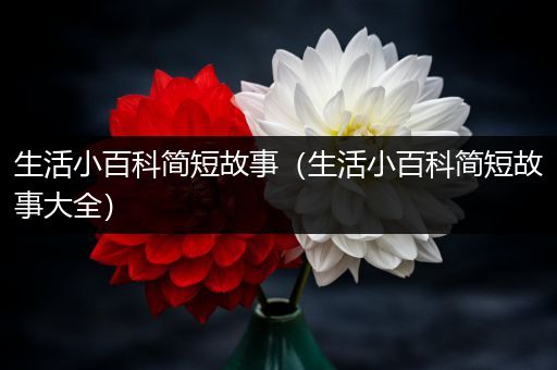 生活小百科简短故事（生活小百科简短故事大全）