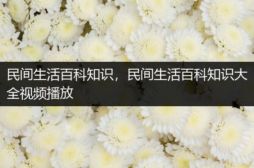 民间生活百科知识，民间生活百科知识大全视频播放