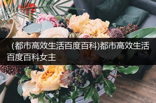 （都市高效生活百度百科)都市高效生活百度百科女主