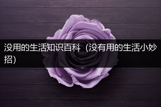 没用的生活知识百科（没有用的生活小妙招）